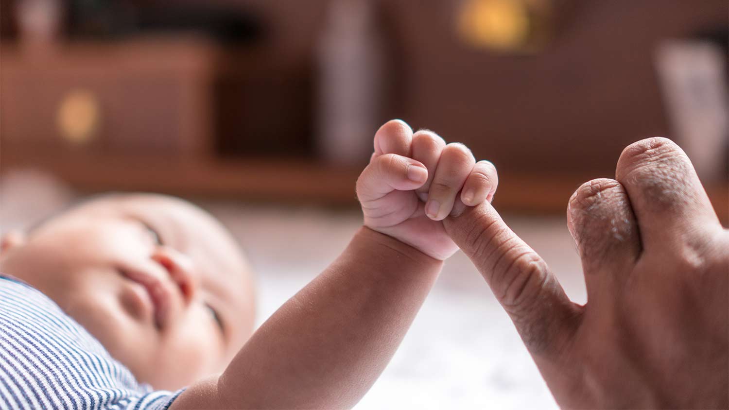 Planned Parenthood of Southwest and Central Florida v. State of Florida